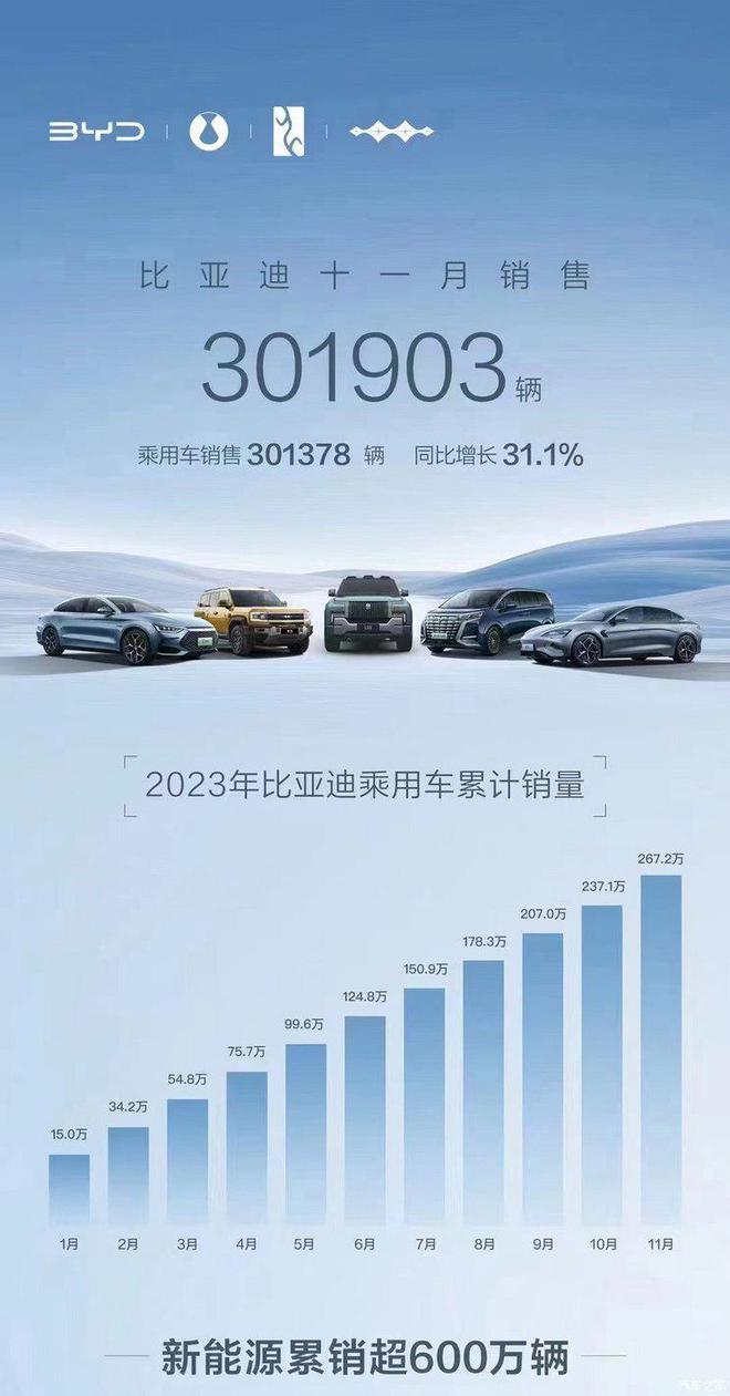 11月销量：比亚迪杀疯破30万/理想提前达标年目标