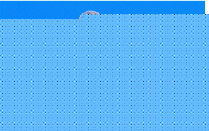 商务部刘晓光：今年汽车出口量有望向500万辆进取